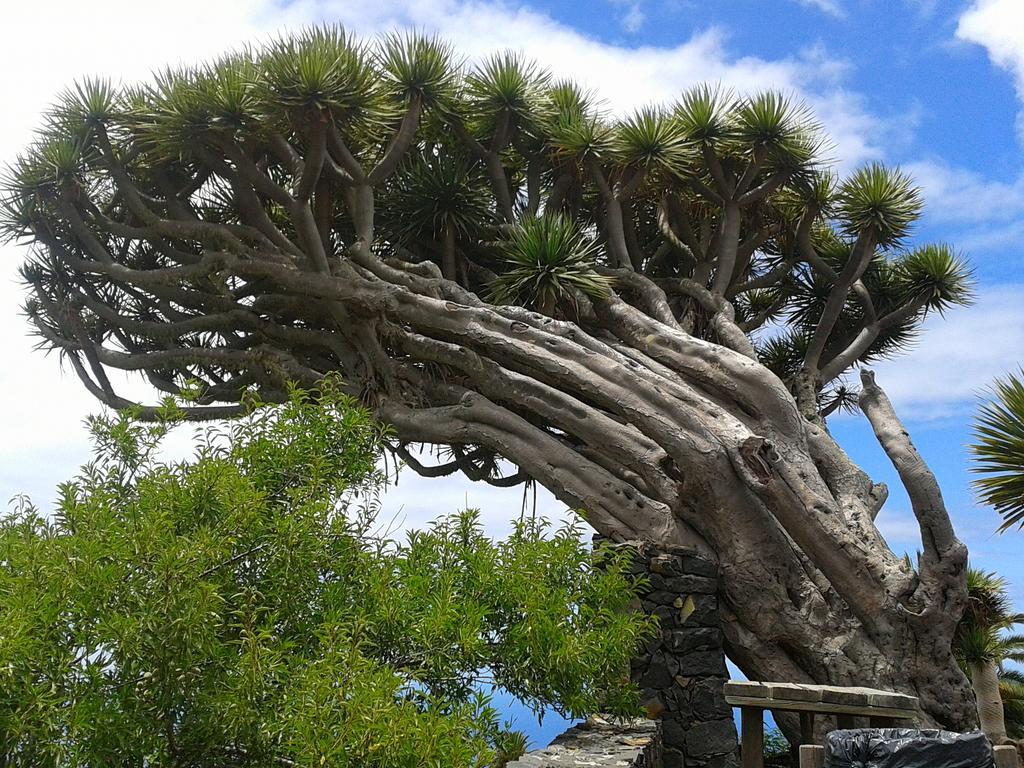 La Palmerita Vacacional Лос-Льянос-де-Аридане Экстерьер фото